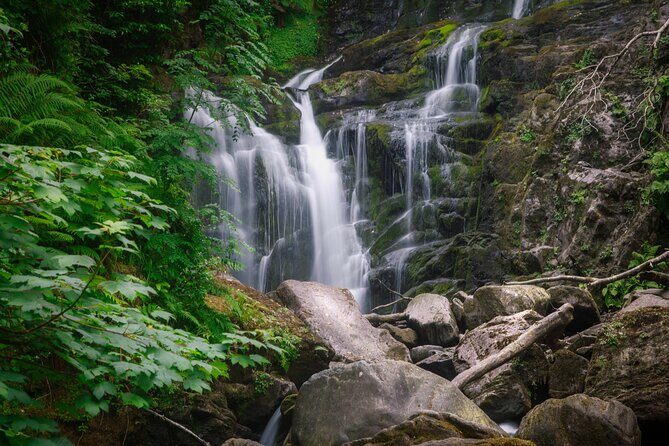 Full-Day Private Historical Tour at Ring of Kerry - What Travelers Say