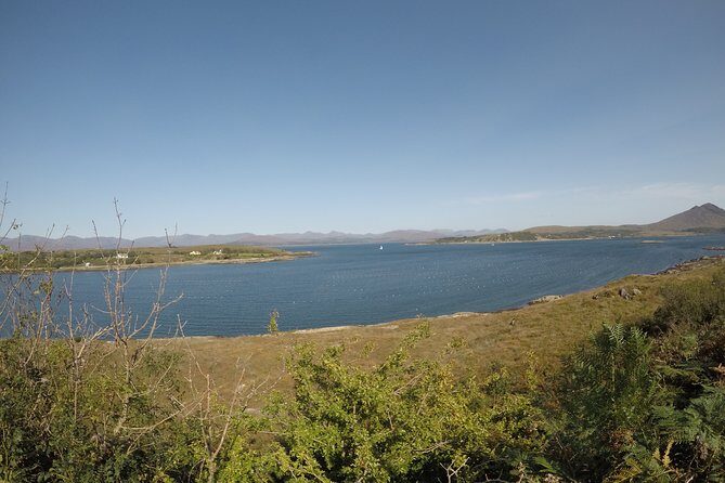 Full-day Private Mizen Head tour from Killarney - Detailed Breakdown of the Itinerary