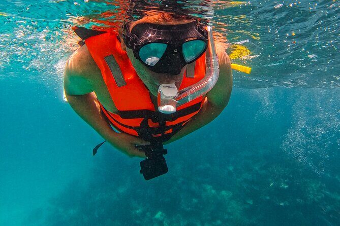 Full-Day Private Snorkel Tour in Tulum and Sian Kaan - A Closer Look at the Tour Details