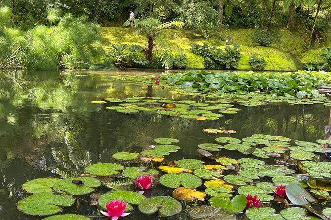 Full Day Private Tour in Furnas Valley Breath of the volcano - Practical Considerations
