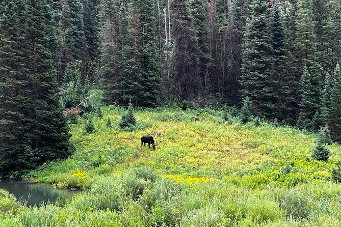 Full-Day Private tour through the Rocky Mountains - Detailed Breakdown of the Itinerary