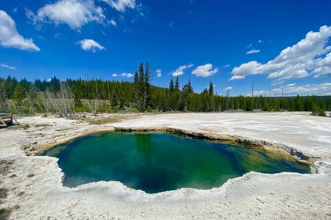 Full Day Private Wildlife/Geyser Tour from West Yellowstone - The Itinerary in Detail