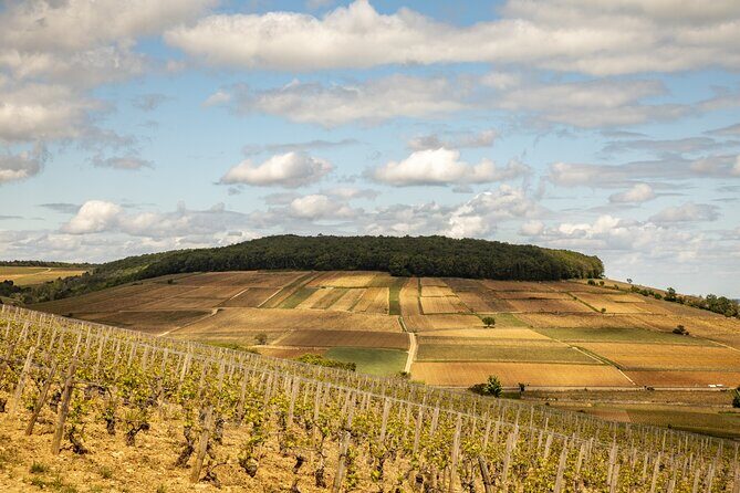 Full-Day Private Wine Tour in Côte de Beaune - Final Thoughts: Is This Tour Worth It?