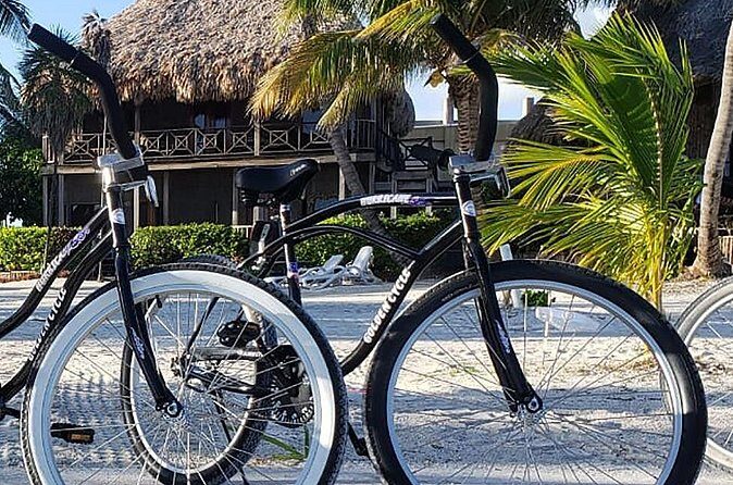 Full Day - Rent a Bike in Puerto Escondido - Who Should Consider This Tour?