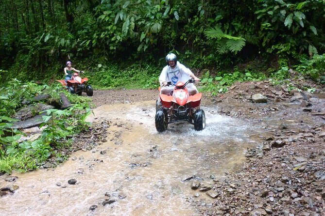 Full Day Sapanca and Masukiye Tour with lunch - The Adventure: Kartepe and the Mountain Air
