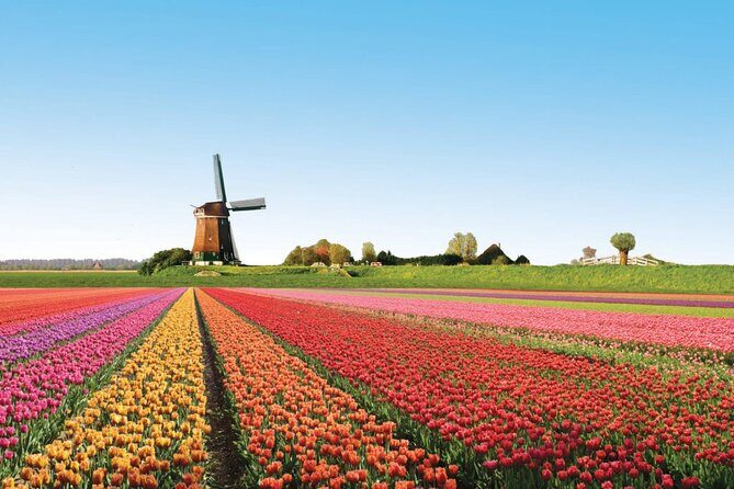 Full-Day Skip the Line Keukenhof and Canal Cruise from Amsterdam - The Sum Up