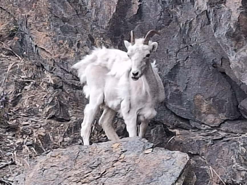 Full-day Tour in Turnagain - The Itinerary Breakdown