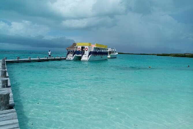 Full Day Tour to Isla Contoy and Isla Mujeres from Cancun - What Travelers Love