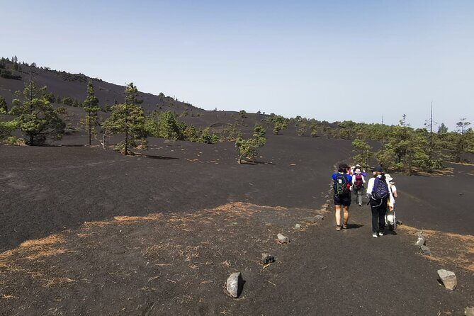 Full Day Tour with Hiking to the Tajogaite Volcano - Who Will Love This Tour?