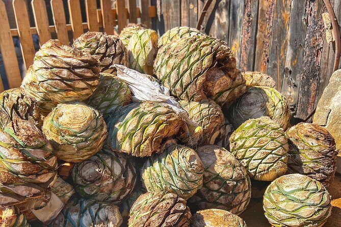 Full-Day Zapotec Experience in Oaxaca - Practicalities and Value