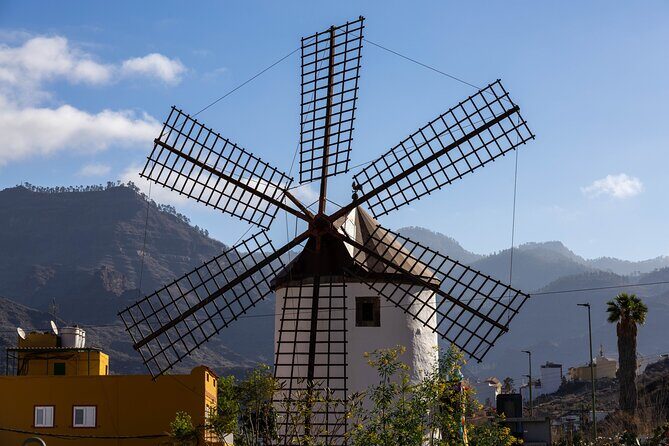 Full Private Tour of Gran Canaria with Natural Pools - The Sum Up