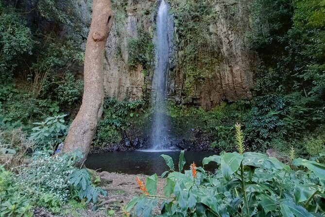 Funchal: Pico do Arieiro to Santana and Ponta de Sao Lorenco - Final Thoughts: Who Should Book This Tour?