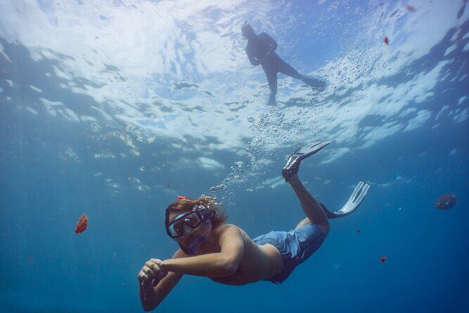 Funchal: Snorkeling Adventure in Eco-Park / Shore or by Boat - Who Will Love This Tour?