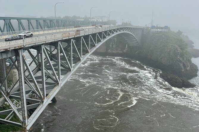 Fundy Shore Tour By Bus - FAQ
