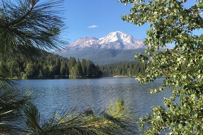 Galactic Origins Mount Shasta Tour - What Sets This Tour Apart?