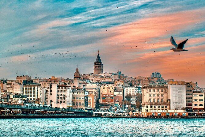 Galata Tower Hosted Entry Ticket - Who Should Book This Experience?
