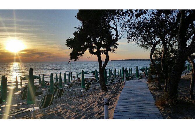 Gallipoli Full Day Private Tour: Coast, Beaches and Wineries - Exploring the Itinerary: What You Can Expect