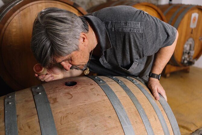 Gallura Winery with Wine Tasting in Olbia - The Tasting Experience