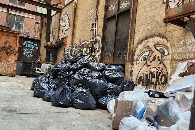 Garbage and Rats in New York City Walking Tour - What to Expect and Why It Matters