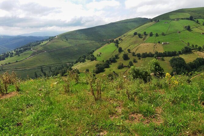 Gastronomy tour with tastings - small groups - Authenticity and Value