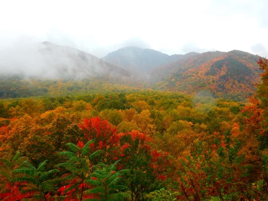 Gatlinburg: Smoky Mountains Fall Foliage Guided Tour - What You’ll Experience on the Tour