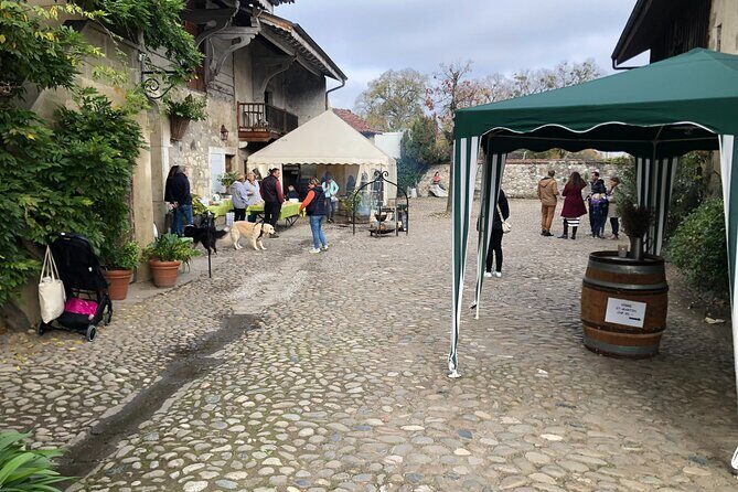 Geneva Countryside By E-Bike With Wine Tasting - Who Will Love This Tour?