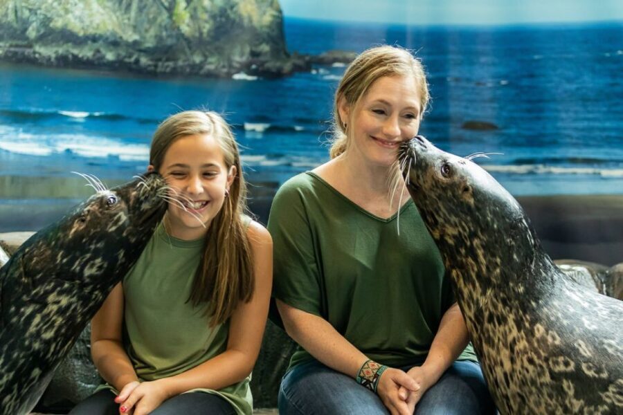 Georgia Aquarium: Sea Lion Encounter - Value and Cost: Does It Match the Price?