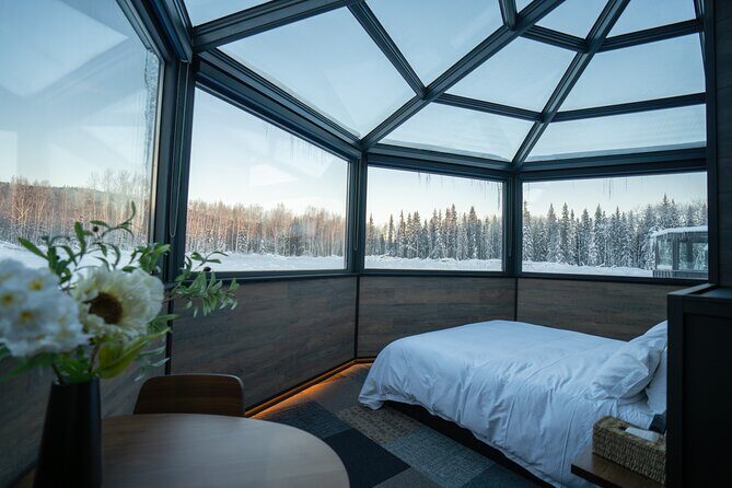 Glass Igloo 5 Days 4 Nights Ultimate Aurora Adventure - What the Experience Feels Like