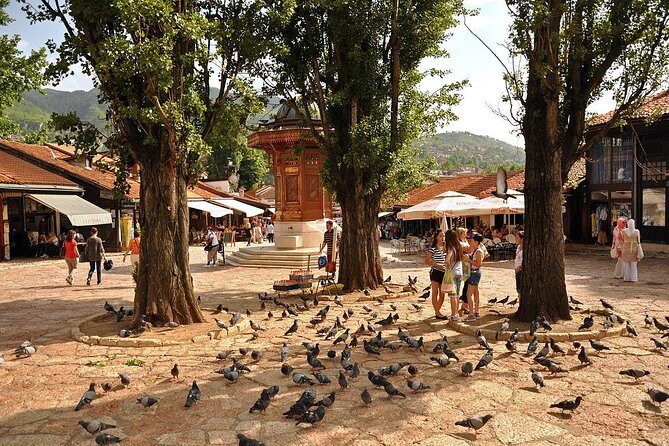 Going North and visit Sarajevo in a Day Tour from Mostar - The Itinerary: What to Expect on This Day Trip