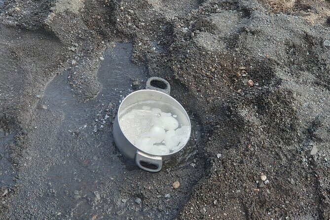 Golden Circle - Shore Excursion from Reykjavik in Minibus, English - Who Will Love This Tour?