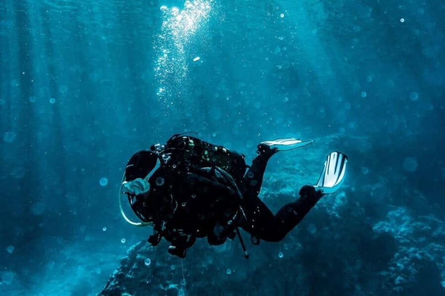 Golem/Durres: Ionian Sea Scuba Diving Experience - What Travelers Say