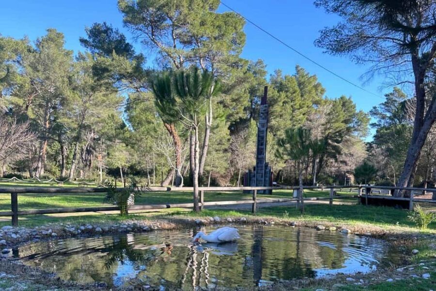 Golem/Durrës: Karavasta Lagoon Tour - What to Expect from the Tour