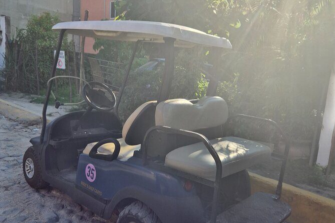 Golf Cart Rental in Sayulita - What to Expect on the Day