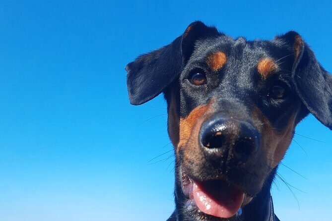 Gozo Unveiled - Hiking in Gozo - What Makes This Tour Worthwhile