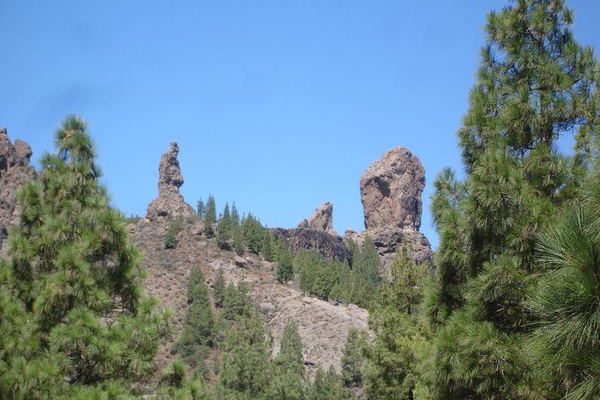 Gran Canaria Peaks Full-Day Tour from Las Palmas - The Value of the Experience