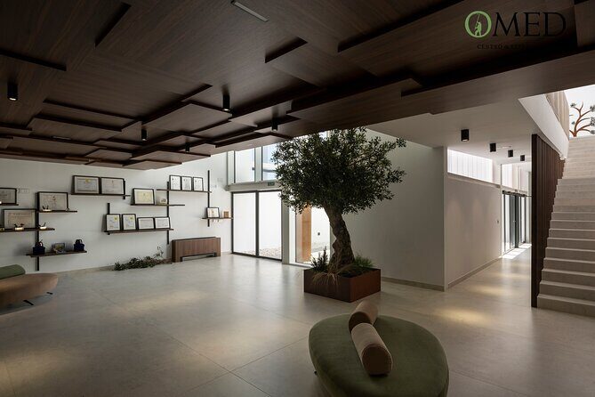 Granada in EVOO: Guided tour and unique sensorial tasting - Final Thoughts: Is It Worth It?