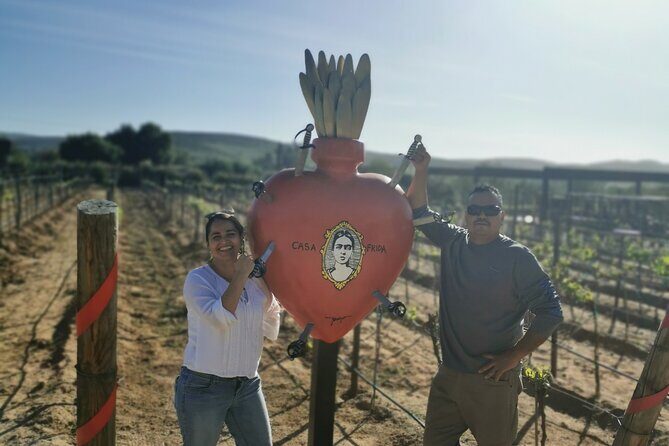 Grand Mexico Wine Country Tour from San Diego - Who Should Consider This Tour