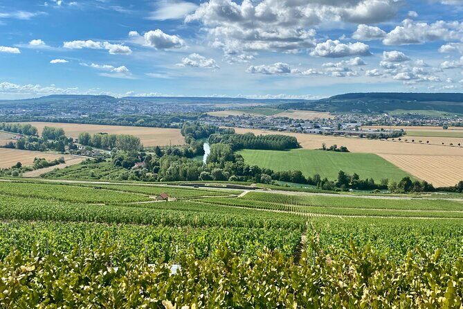 GRAND VINTAGE Moet et Chandon Veuve Clicquot Cellars & Tastings - Who Will Love this Tour?