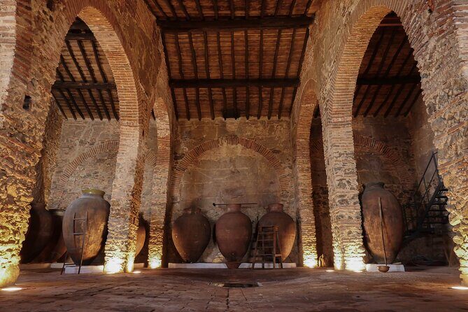 Grande Prova Honrado Vineyards - A Deeper Look at the Tour Experience