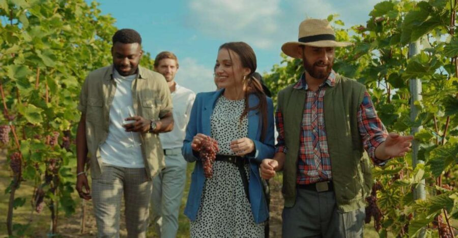 Grape Escapes Full-Day Private Wine Tour in Ithaca - The Day’s Itinerary: What to Expect