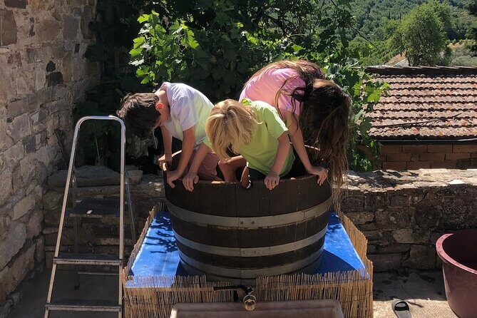 Grape Stomping Experience and Wine Tasting - What’s Included and What to Consider