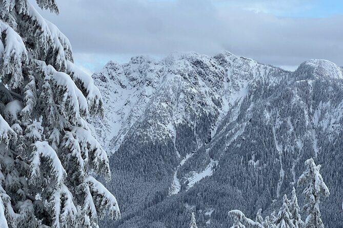 Grouse Mountain Snowshoeing Adventure with Scenic Skyride - The Value of the Tour