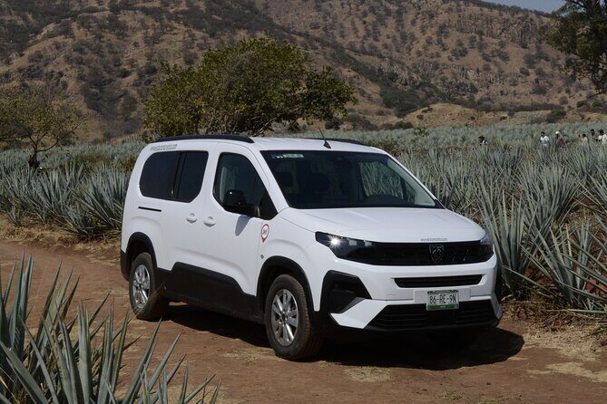 Guadalajara Airport Private Transfer to Ajijic & Chapala - FAQ