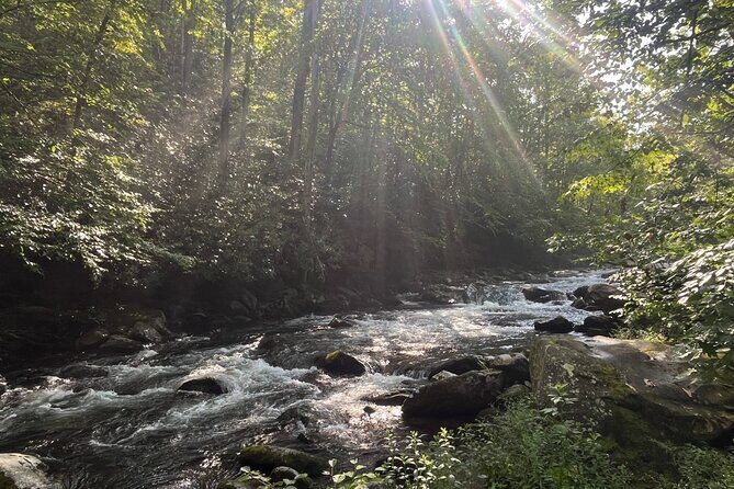 Guided Art Adventure Hikes in Great Smoky Mountains Natl Park - What’s Included and What Costs Extra?