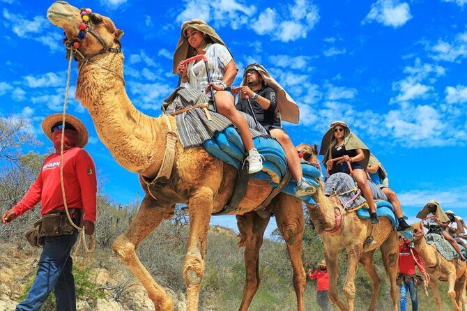 Guided Canyon Camel Ride in Wild Canyon Adventure Park - What Travelers Can Expect: A Closer Look