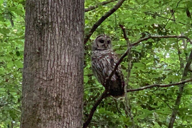 Guided Congaree National Park Kayak Tour - Final Thoughts