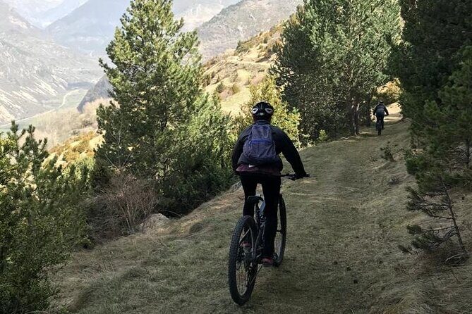 Guided E-Bike Excursion to the Artiga de Lin - Authentic Insights from Travelers