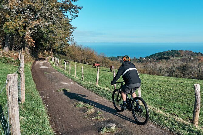 Guided Electric Mountain Bike Tour in Gipuzkoa - What’s Included and What’s Not