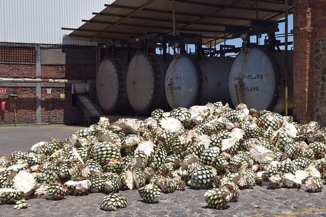 Guided Full Day Tour to Tequila and Cantaritos el Guero - What’s Included and What’s Not