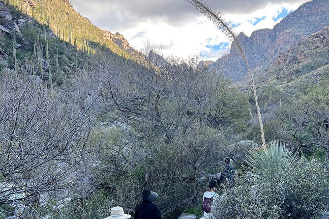 Guided Hike in the Sonoran Desert - Frequently Asked Questions